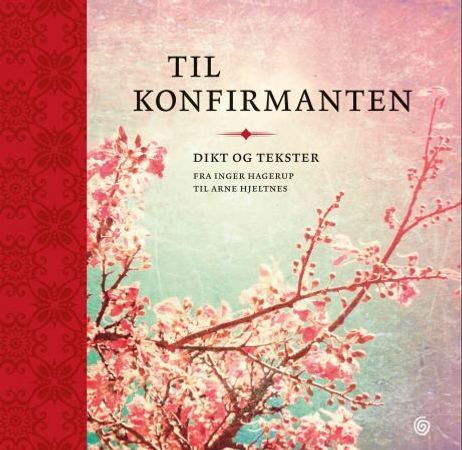 Til konfirmanten 9788248901297  Brukte bøker