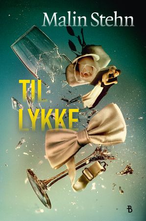 Til lykke 9788234715938 Malin Stehn Brukte bøker