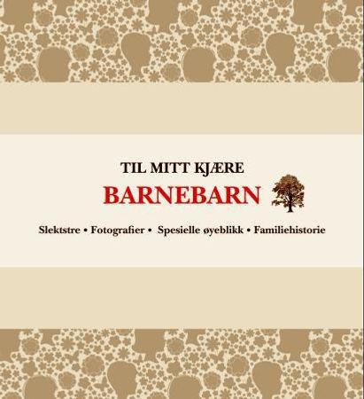 Til mitt kjære barnebarn 9788281733749  Brukte bøker