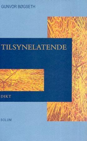 Tilsynelatende 9788256012466 Gunvor Bøgseth Brukte bøker