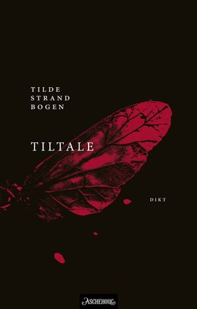 Tiltale 9788203455650 Tilde Strand Bogen Brukte bøker