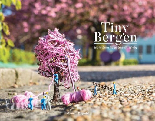 Tiny Bergen 9788269133103 Øystein Dypedal Brukte bøker