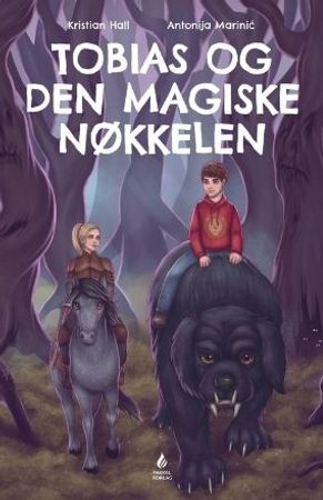 Tobias og den magiske nøkkelen 9788269203219 Kristian Hall Brukte bøker