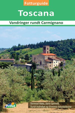 Toscana 9788292421239 Tormod Næs Erminio Monteleone Sara Spinelli Turid Indrebø Brukte bøker