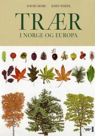 Trær i Norge og Europa 9788204085177 John White Brukte bøker