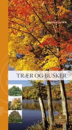 Trær og busker 9788202377342 Allen Coombes Brukte bøker