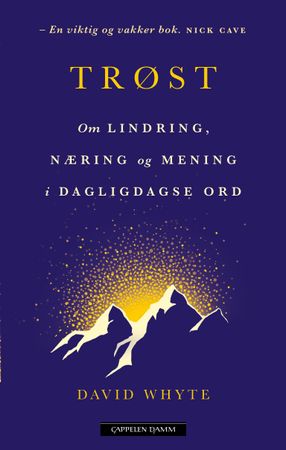 Trøst 9788202659806 David Whyte Brukte bøker