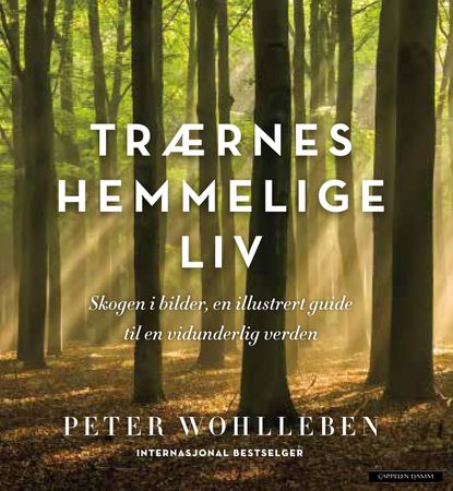 Trærnes hemmelige liv 9788202589875 Peter Wohlleben Brukte bøker