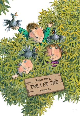 Tre i et tre 9788282492843 Runar Bang Brukte bøker