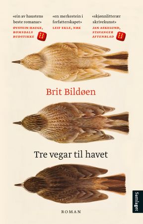 Tre vegar til havet 9788252198492 Brit Bildøen Brukte bøker