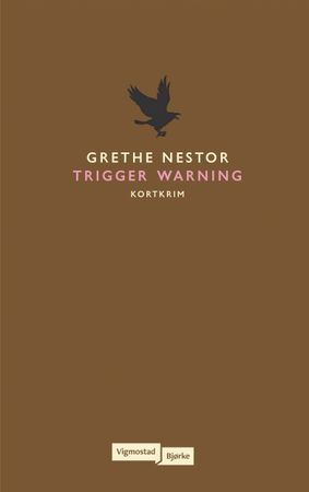 Trigger warning 9788241960741 Grethe Nestor Brukte bøker