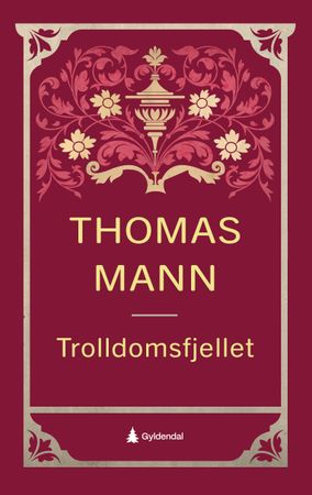 Trolldomsfjellet 9788205612839 Thomas Mann Brukte bøker