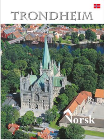 Trondheim 9788290633900 Svein Nic. Norberg Brukte bøker