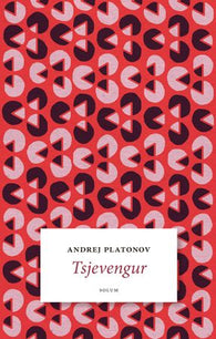 Tsjevengur 9788256017980 Andrej Platonov Brukte bøker