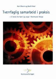 Tverrfaglig samarbeid i praksis; til beste for barn og unge i kommune-Norge 9788244611152 Bodil Erdal Kari Glavin Brukte bøker