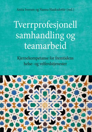 Tverrprofesjonell samhandling og teamarbeid 9788205516717  Brukte bøker