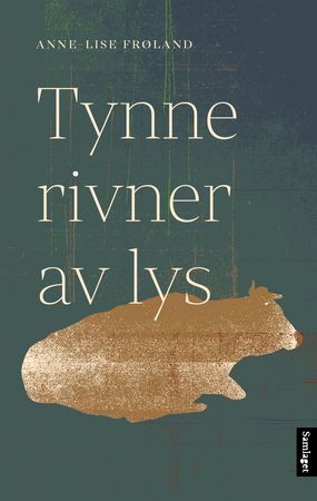 Tynne rivner av lys 9788234014871 Anne-Lise Frøland Brukte bøker