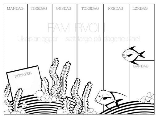 Ukeplanlegger - sett farge på dagene dine! 9788202499587 Fam Irvoll Brukte bøker