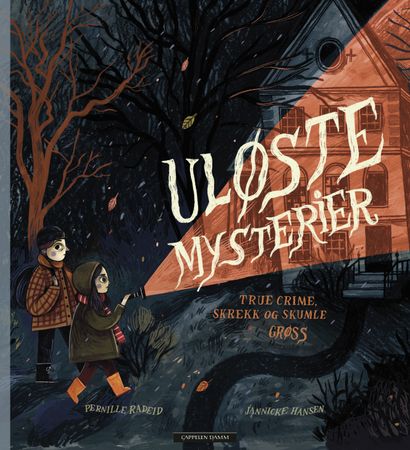 Uløste mysterier 9788202728274 Pernille Tufte Radeid Brukte bøker