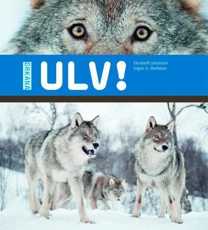 Ulv! 9788281040700 Elisabeth Johansen Ingun A. Mæhlum Brukte bøker