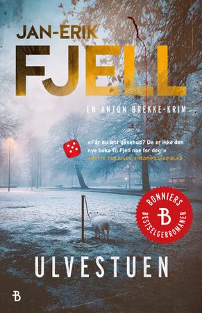 Ulvestuen 9788234725357 Jan-Erik Fjell Brukte bøker