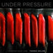Under Pressure 9781579653514 Thomas Keller Brukte bøker