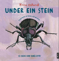 Under ein stein 9788252184990 Erna Osland Brukte bøker