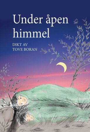 Under åpen himmel 9788230016350 Tove Boran Brukte bøker