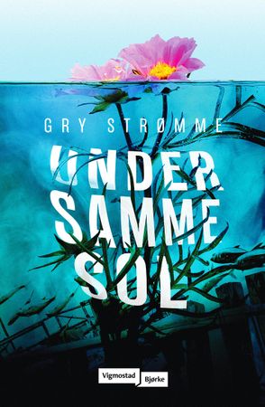 Under samme sol 9788241952586 Gry Strømme Brukte bøker