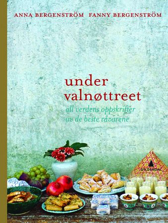 Under valnøttreet 9788205389823 Fanny Bergenström Anna Bergenström Brukte bøker