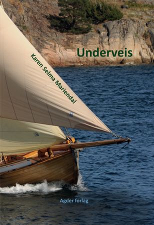 Underveis 9788269246421 Karen Selma Mariendal Brukte bøker