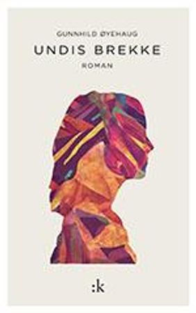 Undis Brekke 9788205485877 Gunnhild Øyehaug Brukte bøker