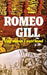 Ung mann i nytt land: roman 9788249507658 Romeo Gill Brukte bøker