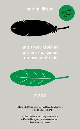 Ung trost klokken fem om morgenen i en brusende alm 9788282880909 Geir Gulliksen Brukte bøker