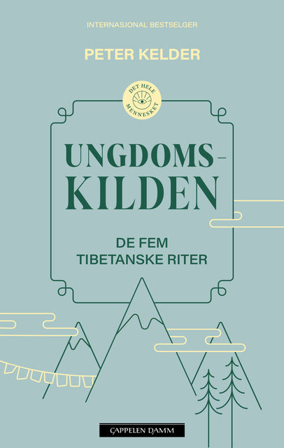Ungdomskilden (Pocket)