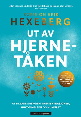 Ut av hjernetåken 9788202906313 Erik Hexeberg Sofie Hexeberg Brukte bøker