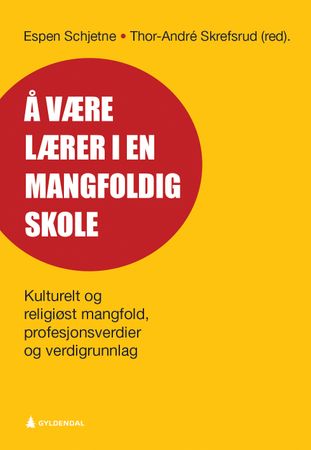 Å være lærer i en mangfoldig skole 9788205512252  Brukte bøker