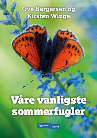 Våre vanligste sommerfugler 9788252928501 Kirsten Winge Ove Bergersen Brukte bøker