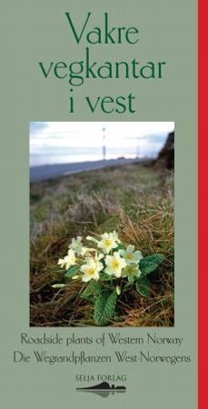 Vakre vegkantar i vest = Roadside plants of Western Norway = Die Wegrandpflanzen West-Norwegens 9788291722498 Inger Auestad Silke Hansen Brith Natlandsmyr Ellen Njøs Slinde Ingvild Austad Brukte bøker