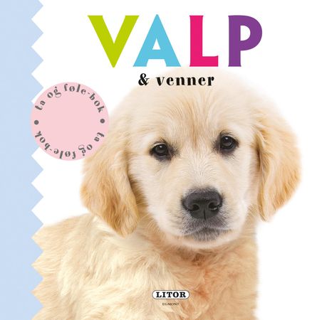 Valp & venner 9788242958181 Amy Oliver Ellie Boultwood Hannah Cockayne Brukte bøker