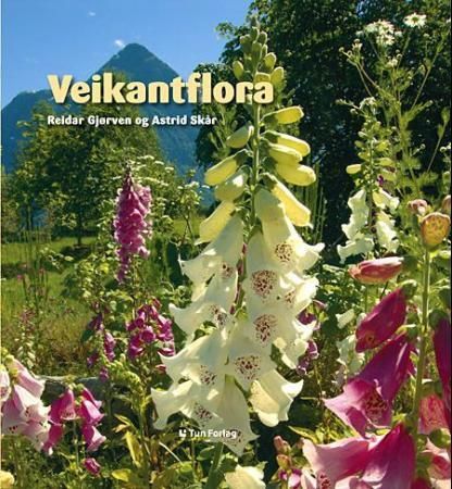 Veikantflora 9788252933499 Astrid Skår Brukte bøker