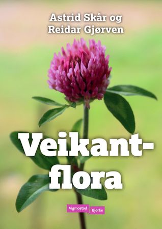 Veikantflora 9788241952128 Astrid Skår Brukte bøker