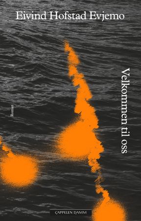 Velkommen til oss 9788202452117 Eivind Hofstad Evjemo Brukte bøker