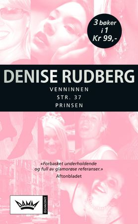 Venninnen ; Størrelse 37 ; Prinsen 9788204140845 Denise Rudberg Brukte bøker