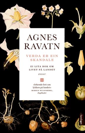 Verda er ein skandale 9788252195286 Agnes Ravatn Brukte bøker