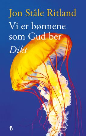 Vi er bønnene som Gud ber 9788234725159 Jon Ståle Ritland Brukte bøker