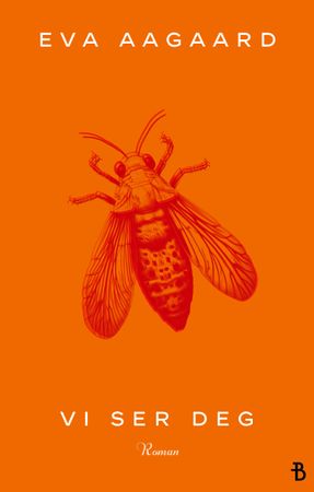 Vi ser deg 9788234723018 Eva Aagaard Brukte bøker