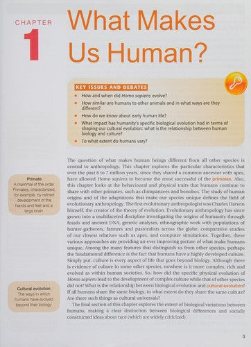 Introducing Anthropology: What Makes Us Human? (Pocket) - Bokia.no