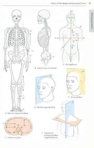 COLOUR ATLAS AND TEXTBOOK OF HUMAN ANATOMY; NERVOUS SYSTEM AND SENSORY ORGANS (Pocket) - Bokia.no