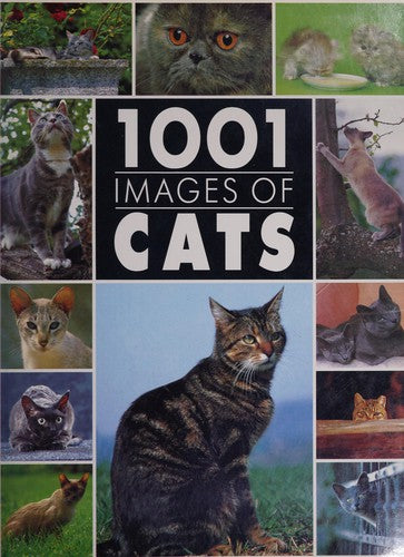 1001 Images of Cats - Bokia.no